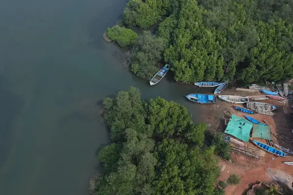 Mangrove Island Boating (1)