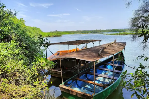Mangrove Island Boating (2)