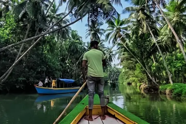Mangrove Island Boating (3)