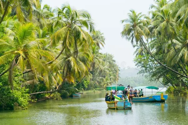 Mangrove Island Boating (4)